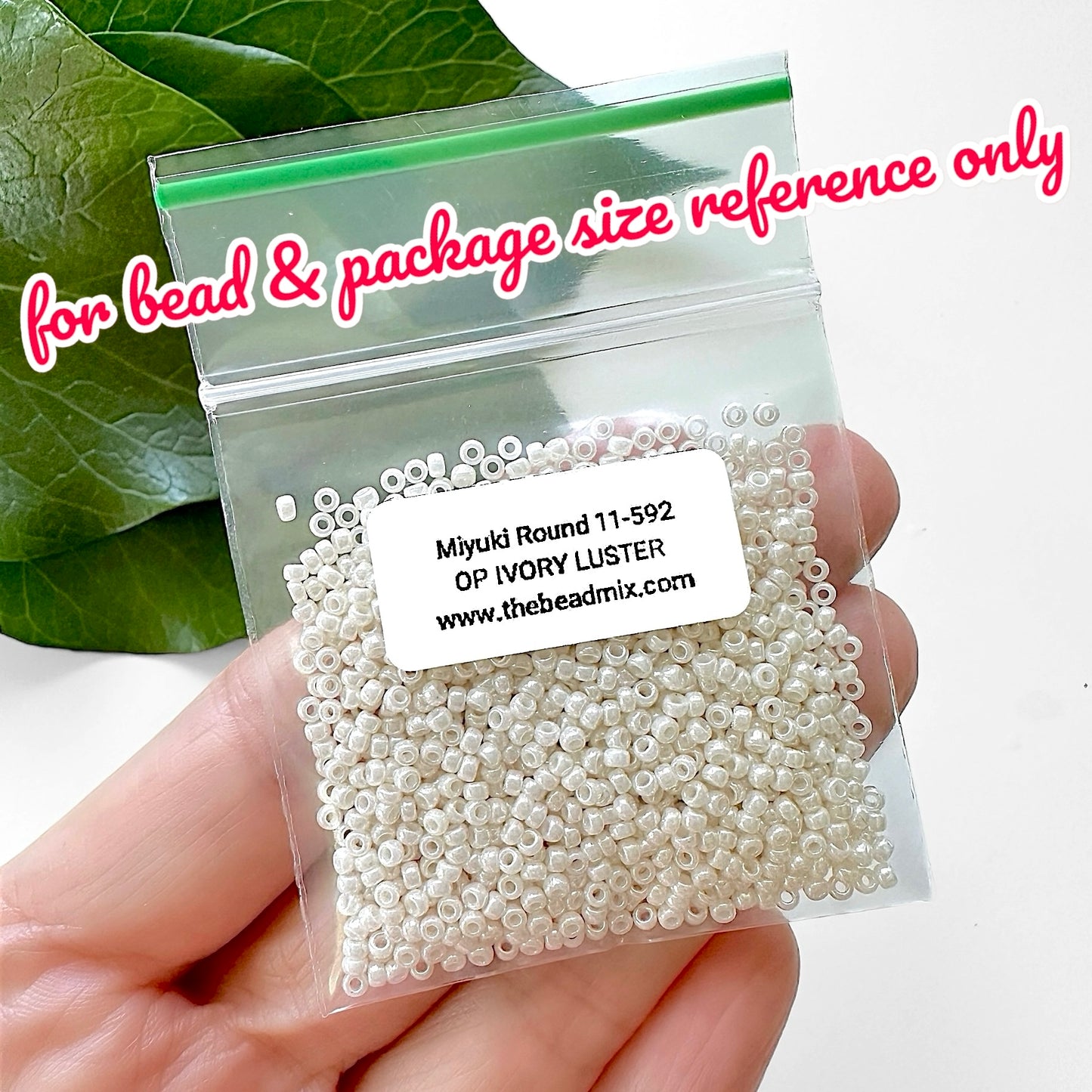 A plastic baggie filled with ivory colored Miyuki size 11/0 seed beads as a size reference by The Bead Mix