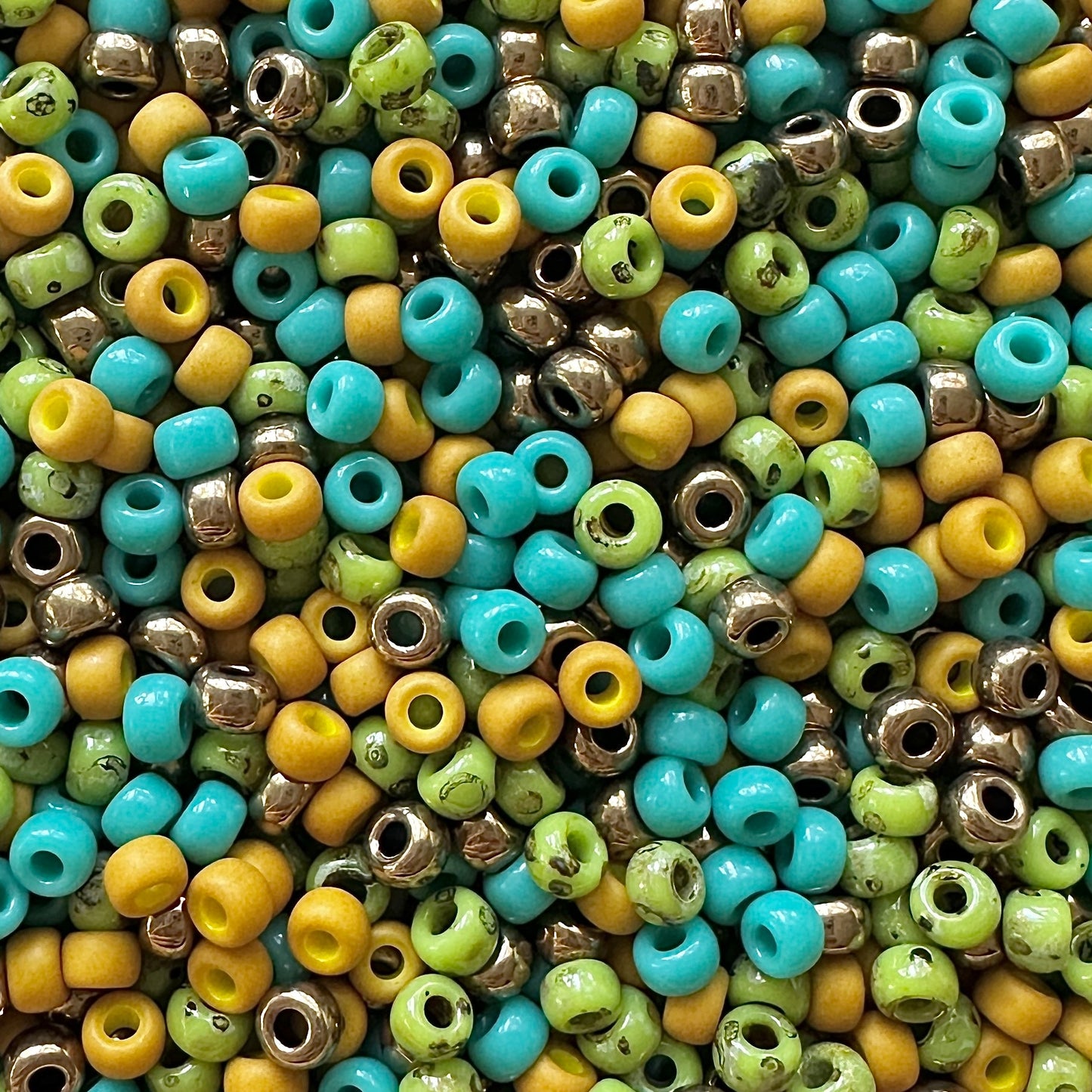 Macaw 6/0 Miyuki Seed Bead Mix - The Bead Mix