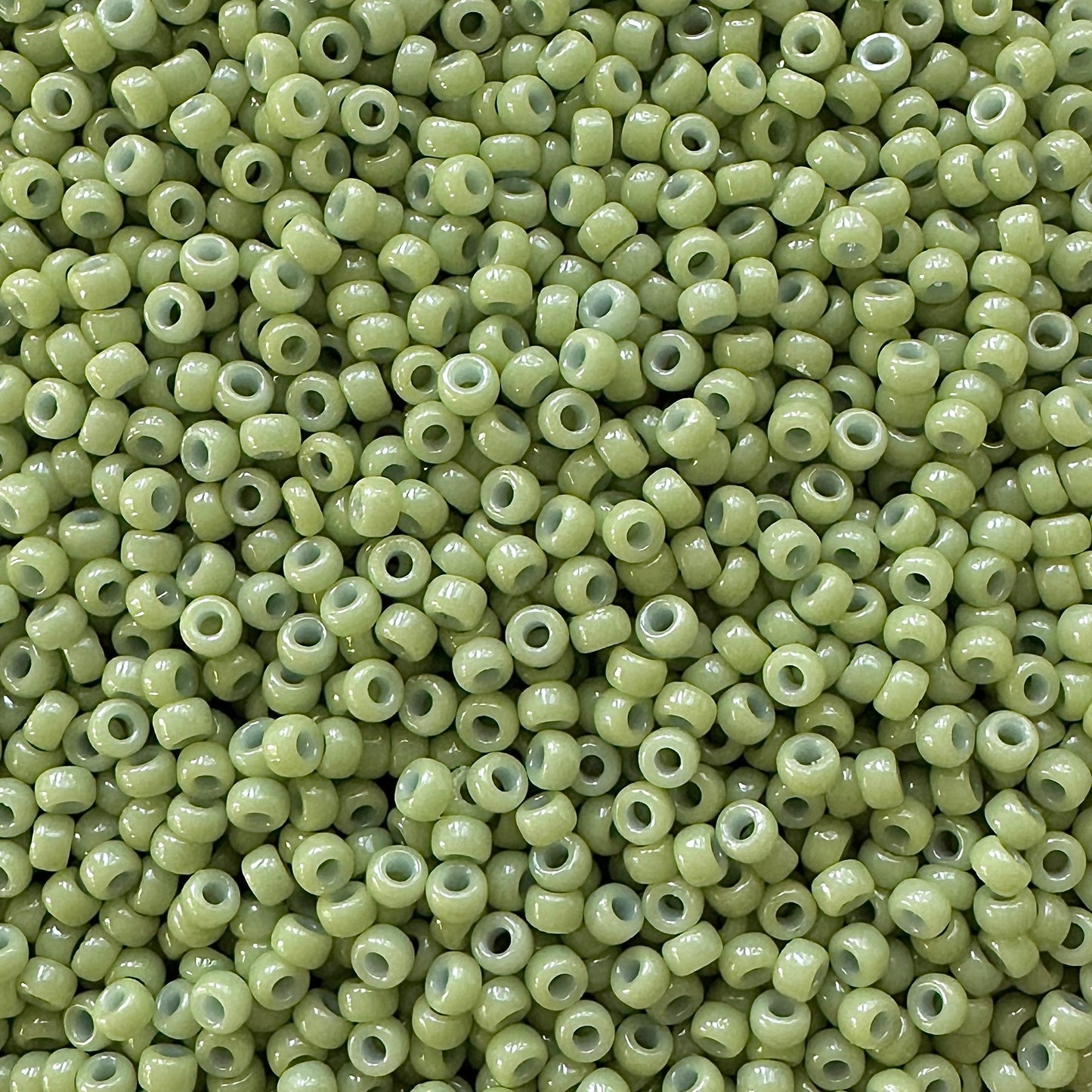 Miyuki 11 - 4473 Duracoat Opaque Moss Green - The Bead Mix