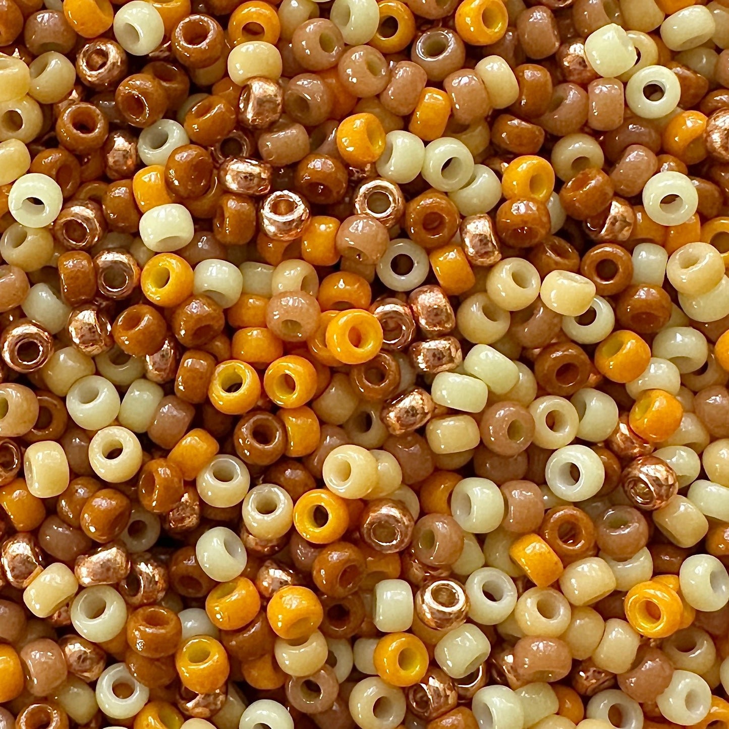 Leo 11/0 Miyuki Seed Bead Mix - The Bead Mix