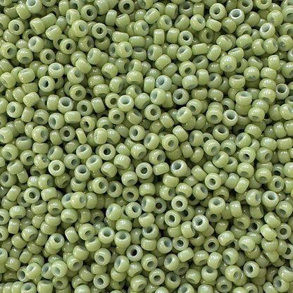 Miyuki 11 - 4473 Duracoat Opaque Moss Green - The Bead Mix