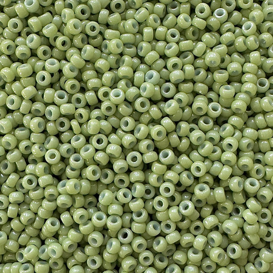 Miyuki 11 - 4473 Duracoat Opaque Moss Green - The Bead Mix