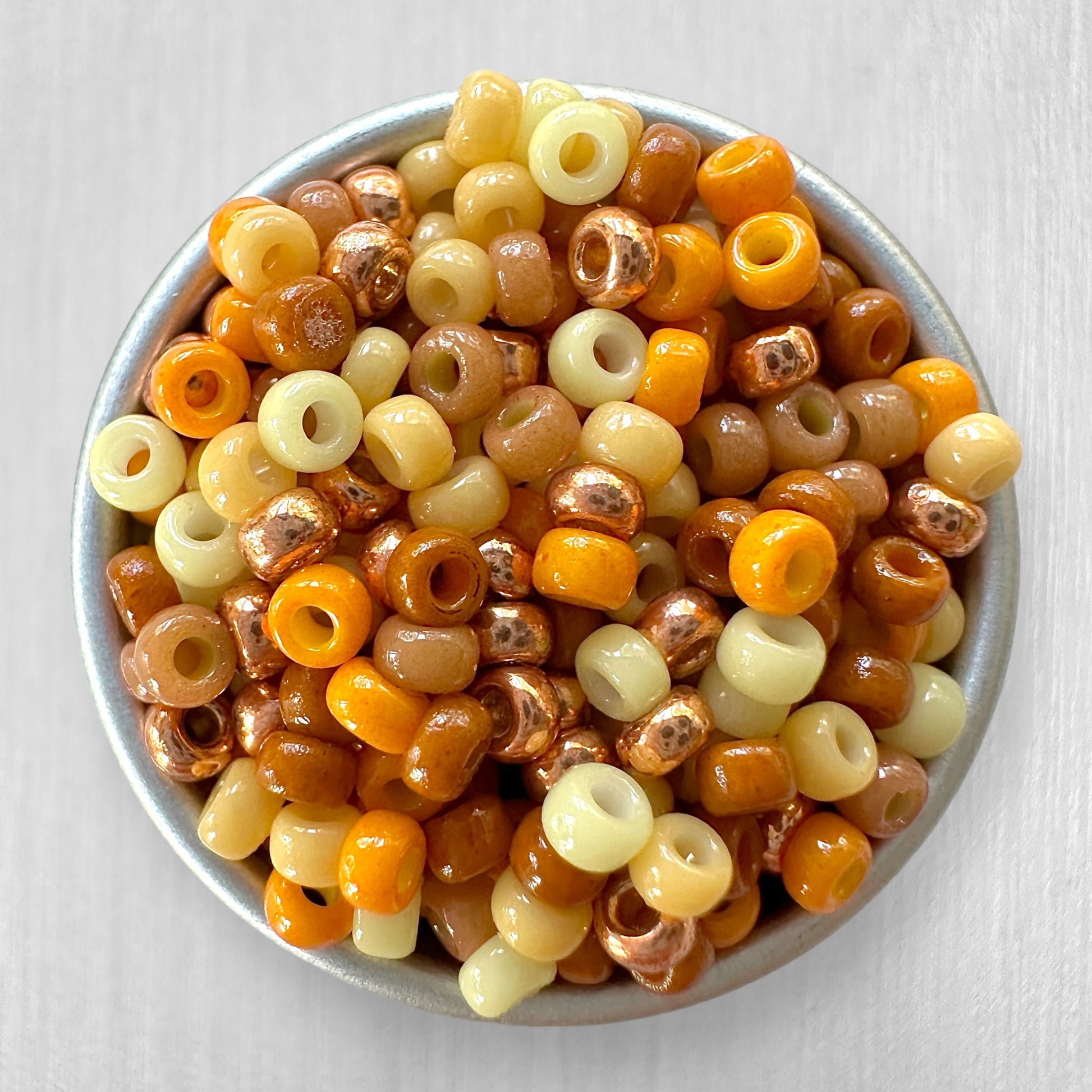 Leo 11/0 Miyuki Seed Bead Mix - The Bead Mix