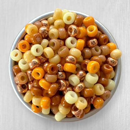 Leo 11/0 Miyuki Seed Bead Mix - The Bead Mix