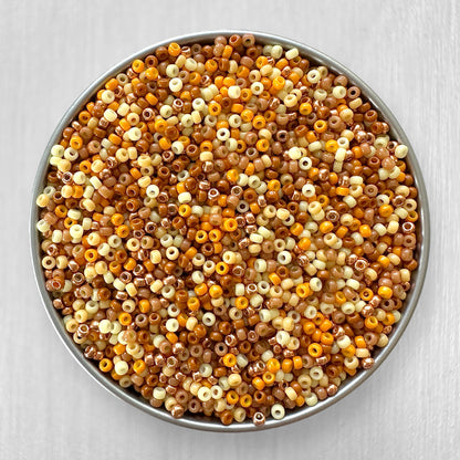 Leo 11/0 Miyuki Seed Bead Mix - The Bead Mix